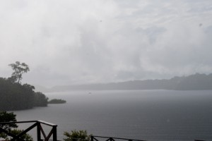 Morning rain