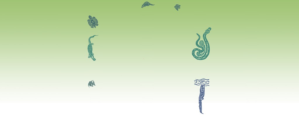 background1.jpg