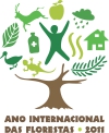 logo_ano internacional_site