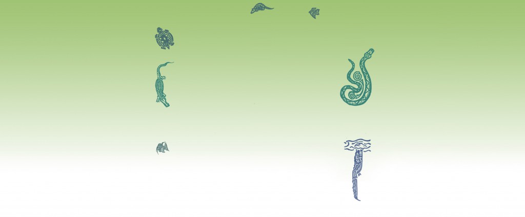 background11.jpg